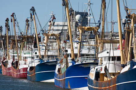 荷兰的伊日穆登港配有现代捕捞切割机图片