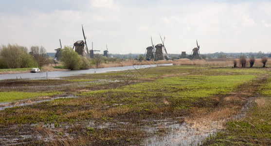 荷兰湿地传统风车图片