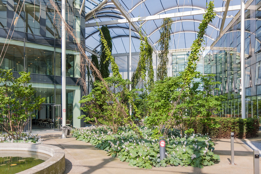 在大型现代办公楼内装有植物和池塘的院子图片