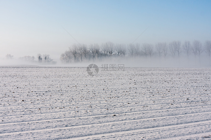 风雾后面树林的农村冬季风景图片