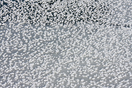 黑冰上面有冻的雪花图片