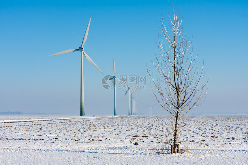 荷兰农田冬季风力涡轮机图片