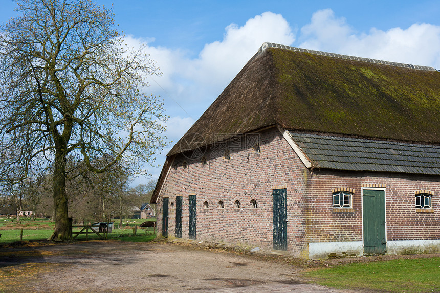 荷兰历史老旧农舍屋顶有Reed图片
