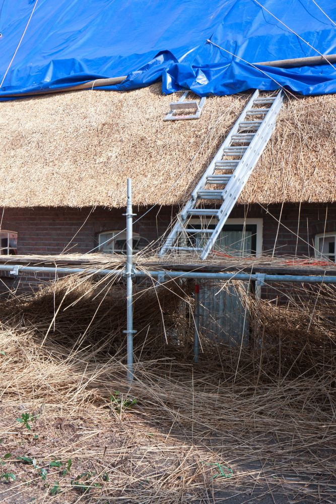 旧式荷兰传统农舍修补盖屋顶的旧式荷兰农舍图片