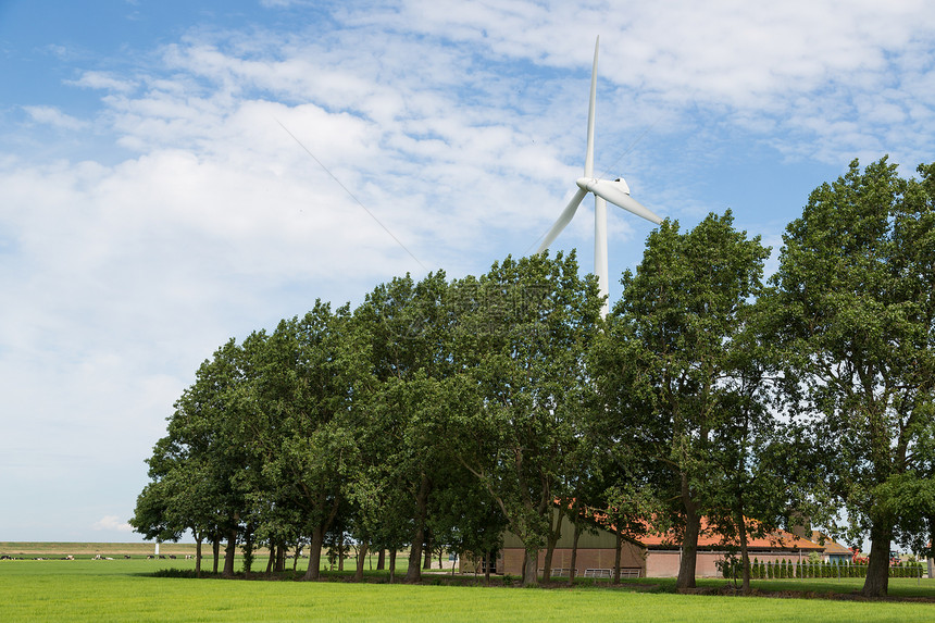 荷兰农田舍和风涡轮林图片