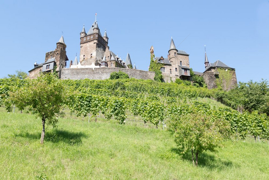 德国的Cochem城堡周围是葡萄园图片
