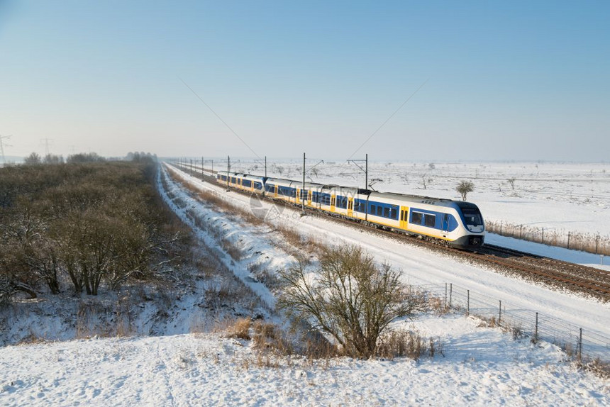 荷兰公园Oostvaarderersplassen冬季风景的荷兰农村黄列车图片