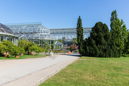 库里蒂巴柏林植物园的大温室背景