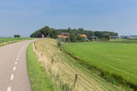 荷兰乡村内陆堤坝和草地图片