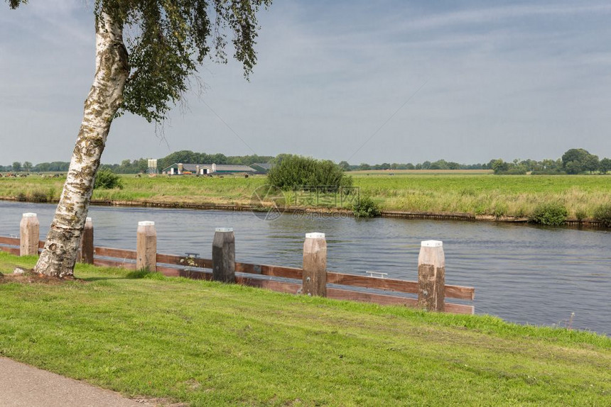 运河在典型的荷兰农村地区装有木棒图片