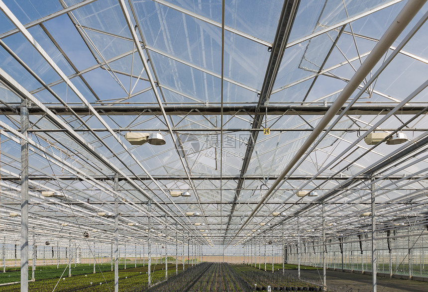 荷兰温室的玻璃屋顶图片