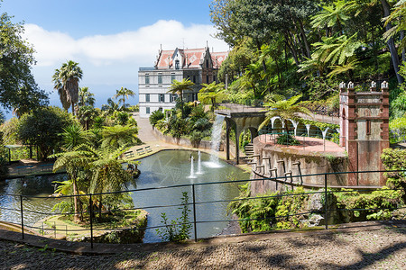 葡萄牙马德拉岛Funchal的热带花园池塘和宫殿图片