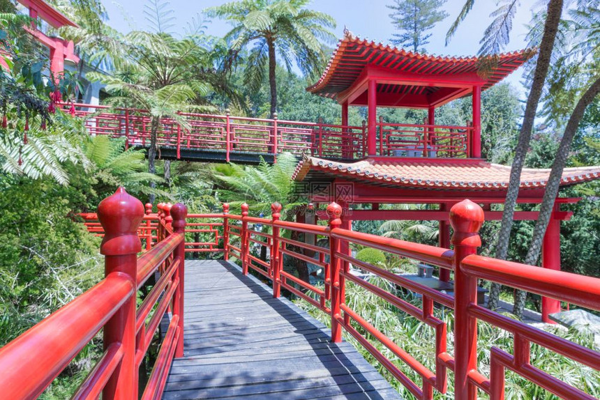马德拉岛Funchal的红色日本风格热带花园图片