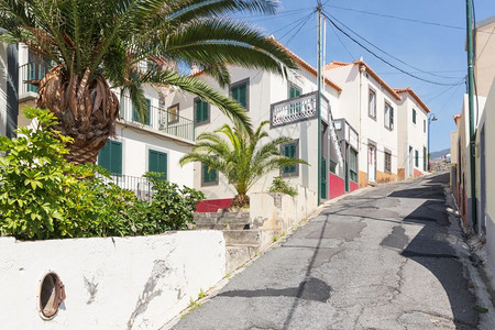 葡萄牙马德拉岛卡洛沃斯街道图片