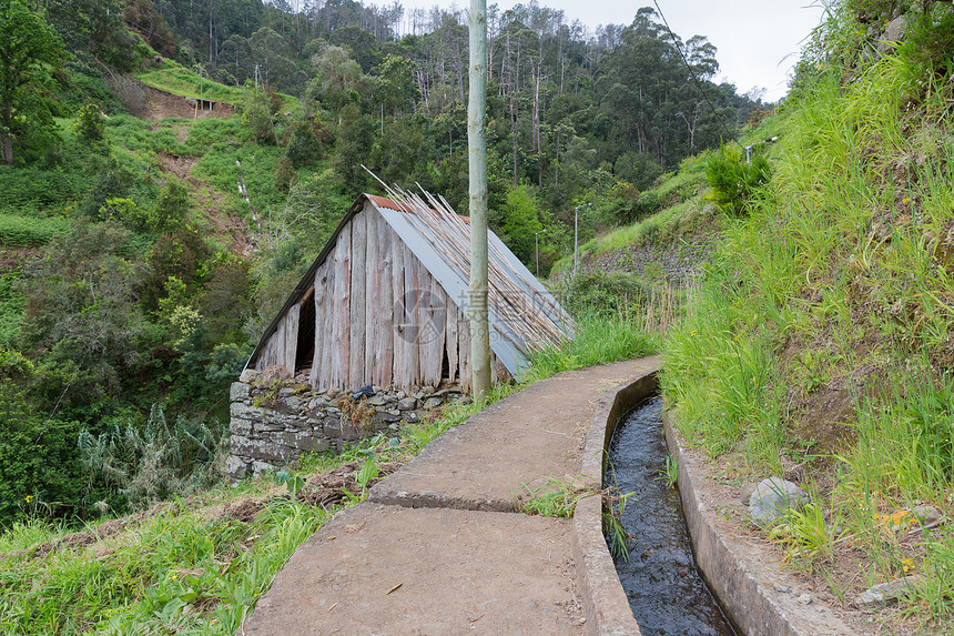 沿着葡萄牙马德拉岛的灌溉山坡徒步旅行图片