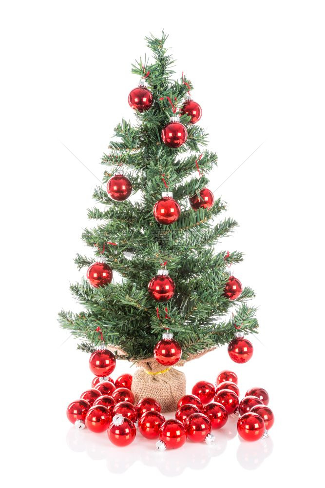 圣诞树上装饰着红球的树被白隔绝图片