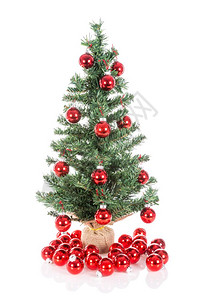 圣诞树上装饰着红球的树被白隔绝背景图片