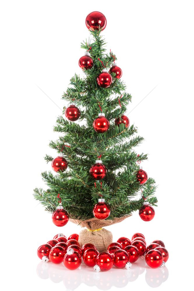 圣诞树上装饰着红球的树被白隔绝图片