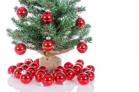 圣诞树上装饰着红球的树被白隔绝背景图片