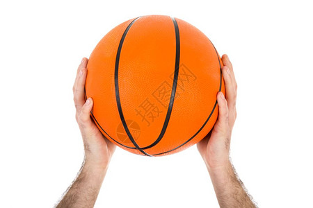 两只手拿着篮球在白背景上图片