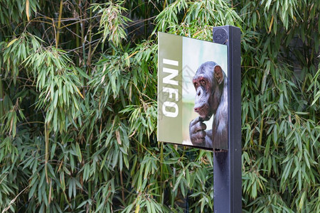 带有动物园中猿类信息的标志图片