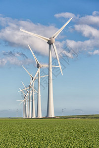 荷兰风光中的风电场有大片的甜菜地荷兰风光中的风电场和甜菜地图片