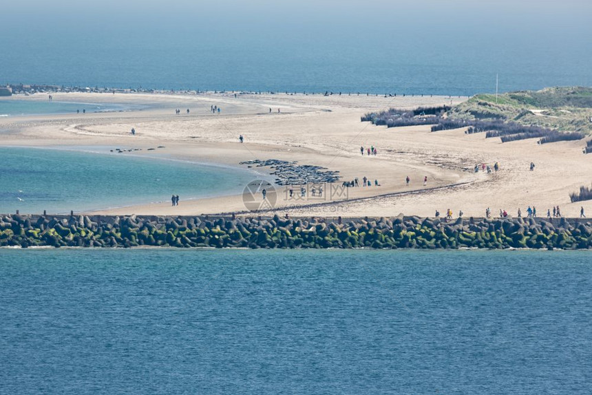 鸟瞰图德国岛沙丘在北海对面的赫尔戈兰人们正在给海滩上休息的海豹拍照鸟瞰德国岛沙丘与海豹在海滩上图片