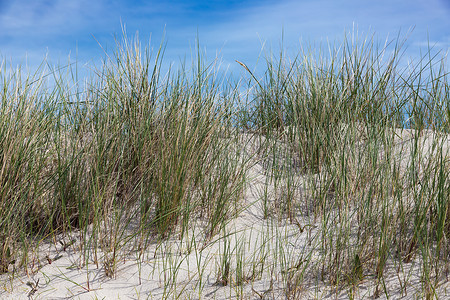 赫尔戈兰附近的德意志岛Dune的马拉姆草高清图片