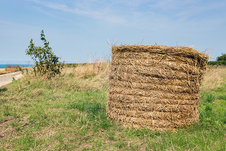 法国诺曼底海岸附近有大干草地的农村貌背景图片