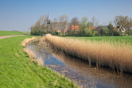 弗莱斯兰荷兰村庄Gaast和教堂后面的大坝有教堂坝海保护的荷兰村庄Gaast背景