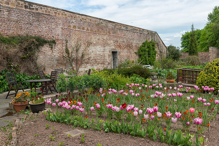 典型的英语庭院有石墙家具和郁金花英语庭院图片