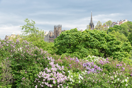 春季在王子街花园看到苏格兰爱丁堡市风景春季在王子街花园看到苏格兰爱丁堡市风景背景图片