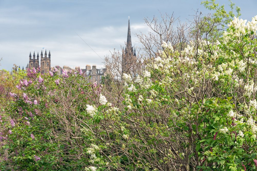 春季在王子街花园看到苏格兰爱丁堡市风景春季在王子街花园看到苏格兰爱丁堡市风景图片