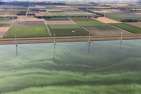 夏季热暑荷兰弗列沃省海岸的荷铁路风向炎热海中通过富营养化覆盖着蓝绿色藻类蓝氰化细菌背景图片
