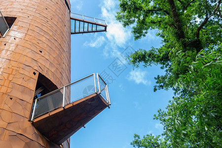 荷兰Appelscha附近森林不同高度的观察塔和平台图片