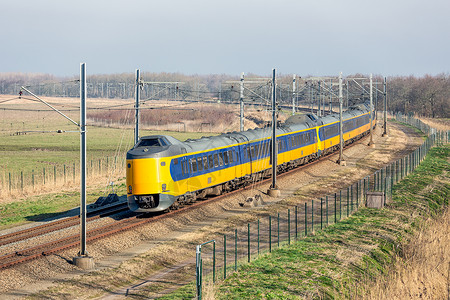 荷兰铁路有特快列车通过公园Oostvaardersplassen位于Lelystad和Almere之间荷兰铁路穿过阿尔梅雷和莱利背景图片