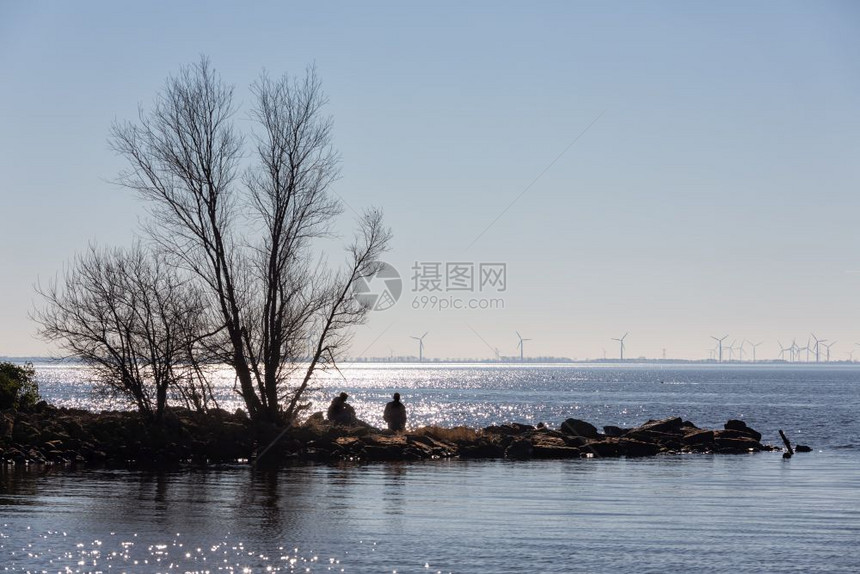 春光背影环绕着闪亮的海洋光水两个男孩在阳光下放松坐在树附近的石头上图片