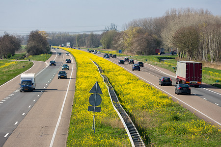 莱利斯塔德附近的荷兰高速公路A6,配有开花的种子。图片