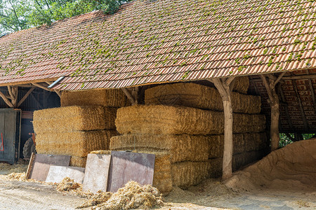 荷兰农场有一堆干草篮子覆盖在露天棚里有一堆干草篮子覆盖在棚里图片