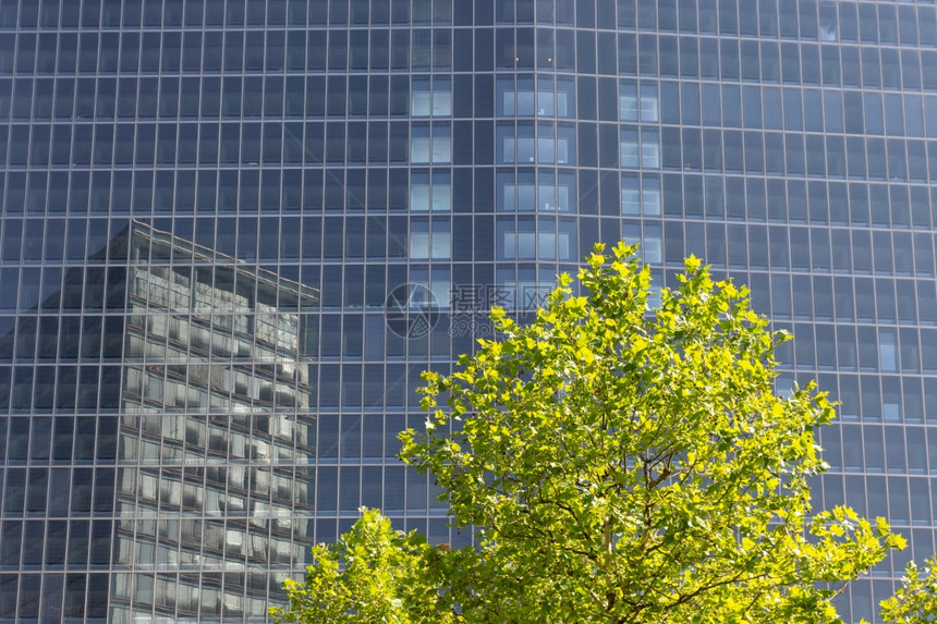 现代办公大楼有另一座的反射和前面一棵绿树的反射办公室大楼有另一座和前面棵树的反射图片
