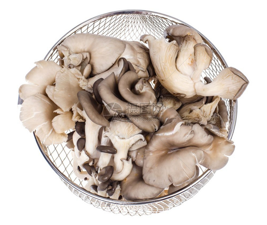 洗过的牡蛎蘑菇工作室照片图片