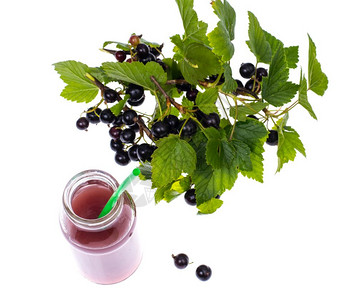黑莓新鲜果汁白底玻璃瓶装黑莓汁工作室照片图片