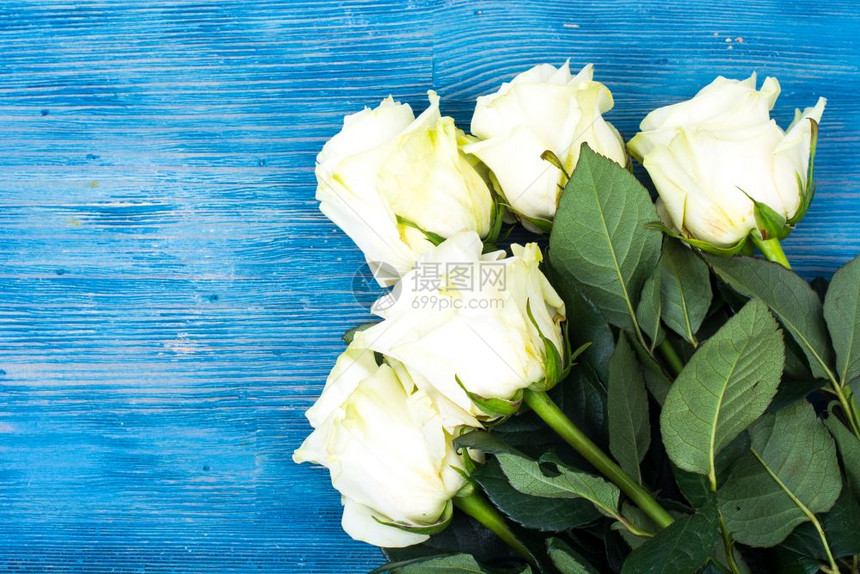 蓝木本底的新鲜白玫瑰工作室照片图片