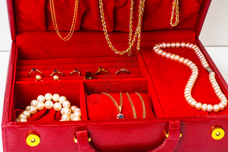珠宝皮衣红色案工作室照片珠宝皮衣案图片