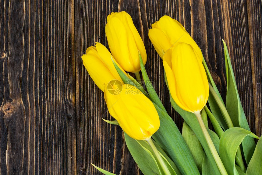 木制背景摄影棚照片上的黄色郁金香木制背景上的黄色郁金香图片