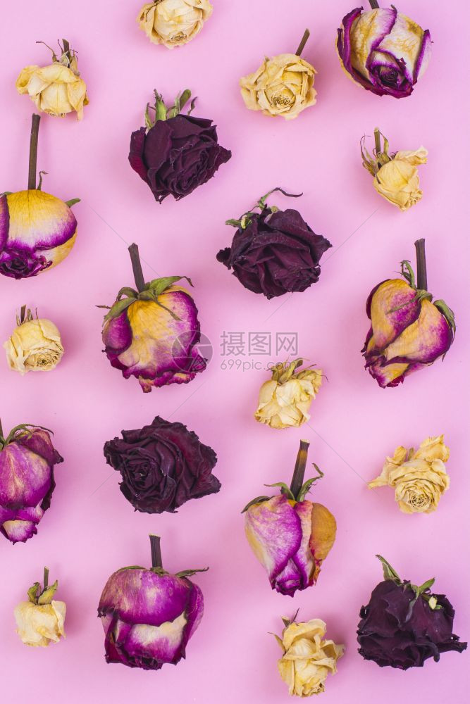 面粉色背景的干玫瑰花抽象拼图和背景工作室照片面粉上干玫瑰花的简要拼图和背景图片