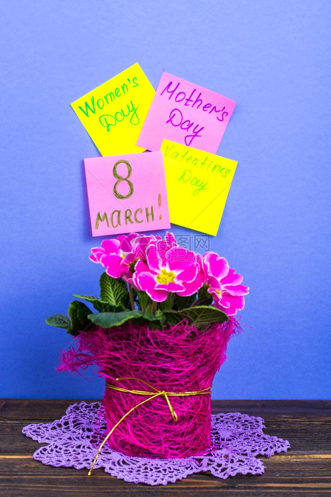 情人节卡片国际妇女节3月8日母亲节在锅里粉美丽的彩礼作为物工室照片情人节卡母亲在锅里粉美丽的彩礼作为物图片