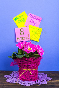 情人节卡片国际妇女节3月8日母亲节在锅里粉美丽的彩礼作为物工室照片情人节卡母亲在锅里粉美丽的彩礼作为物背景图片