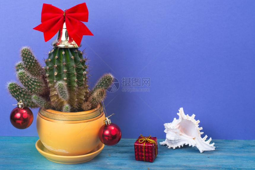 在热带气候概念中的圣诞节Cactus作为节庆树在有文字空间的明光糊面背景上在有文字空间的明光壁画上工作室照片在热带气候概念中的圣图片