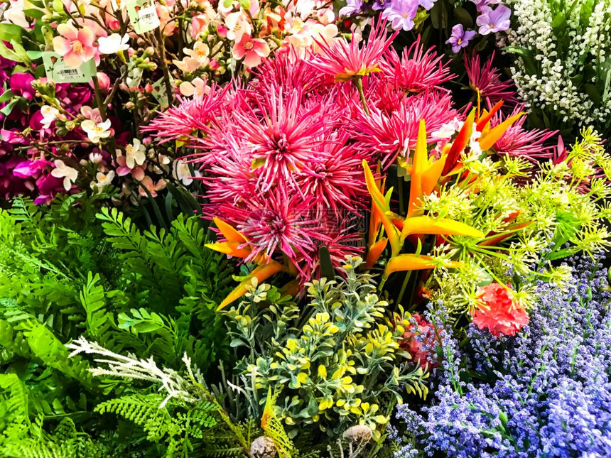 亮花背景文本空间工作室照片亮花背景图片